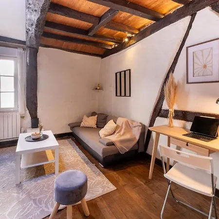 Duplex Coeur Historique דירה